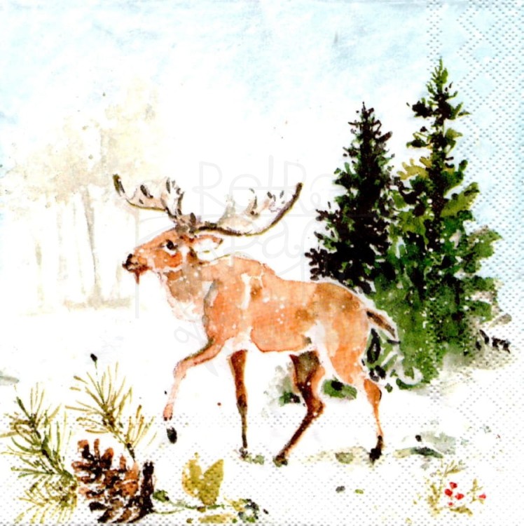 Serwetka 25x25 - Łoś