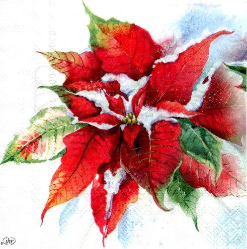 Serwetka 33x33 - Poisencja