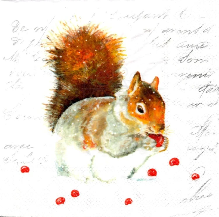 Serwetka 33x33 - Wiewiórka