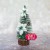 Wykrojnik Midi Poinsettia Średnia poinsencja CW198 Craft&amp;You Design