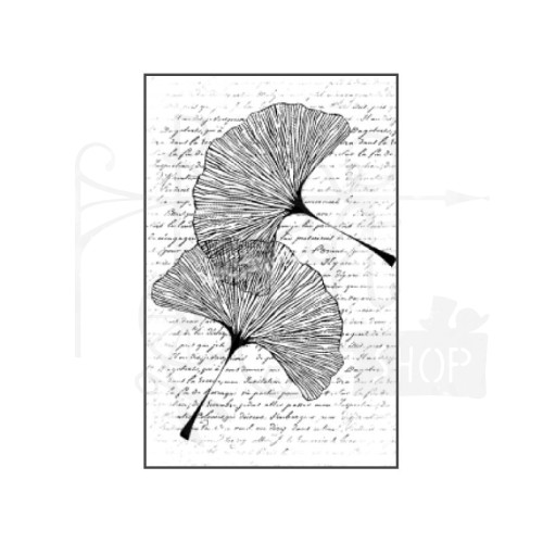Stempel gumowy kauczukowy 14x18cm Miłorząb WTKCC73 Stamperia
