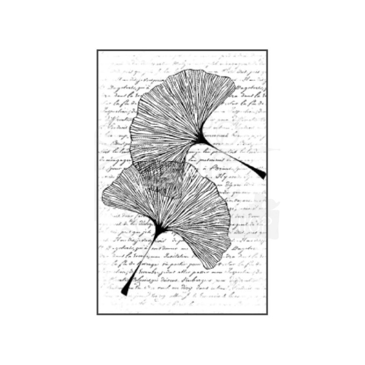Stempel gumowy kauczukowy 14x18cm Miłorząb WTKCC73 Stamperia