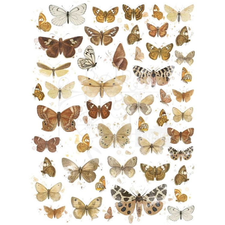 Rub-on transfer 15x20cm Butterflies 01 2 arkusze VB37520 49 and Market