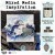Ozdoba metalowa Mechanicals Metal Embellishments Old Plates 967123 Prima