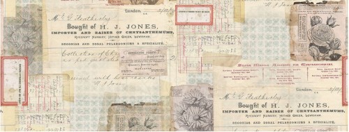 Idea-Ology Collage Paper Document 15cmx5.5m TH93951 Tim Holtz