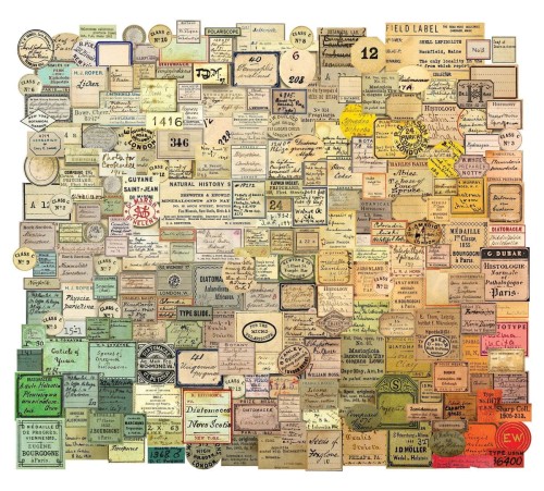 Ozdoby papierowe Idea-Ology Ephemera Snippets Curator 233szt TH94152 Tim Holtz