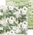 Zestaw papierów 30x30 Greenery Invitation CC-C52-GI-00 Craft O'Clock