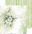 Zestaw papierów 30x30 Greenery Invitation CC-C52-GI-00 Craft O'Clock