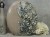 Foremka silikonowa 20x13 Kwiaty - LaBlanche