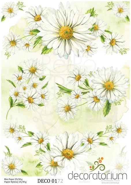 Papier ryżowy A4 Kwiaty margaretki duże 0172 Decoratorium