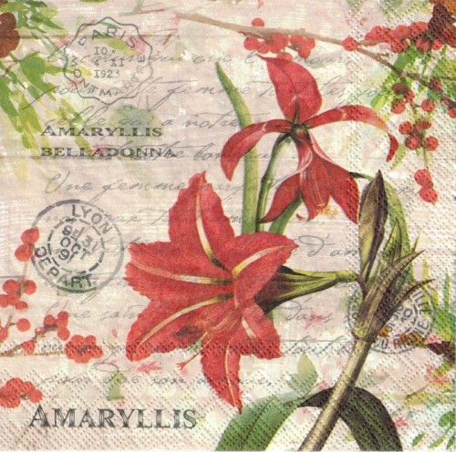 Serwetka 33x33 - Czerwony amarylis