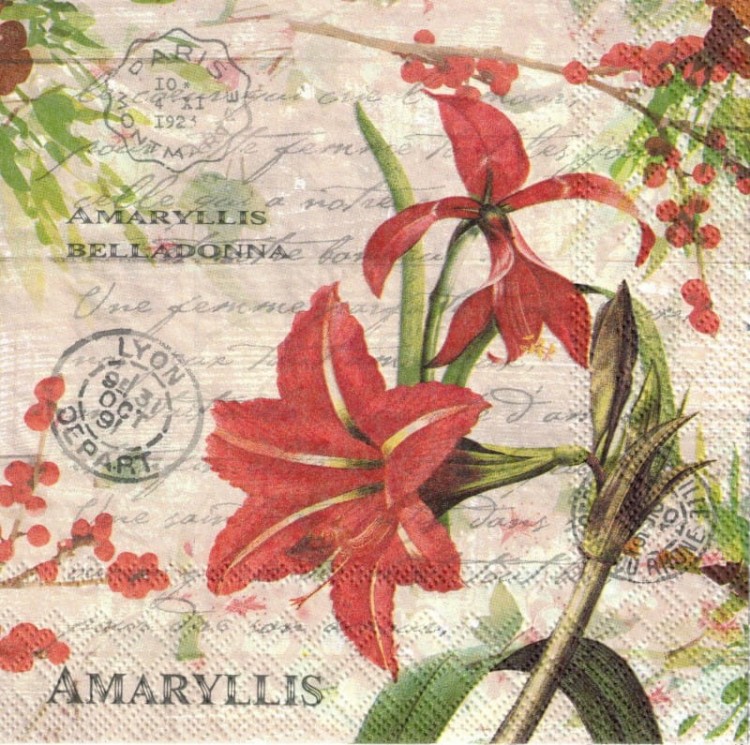 Serwetka 33x33 - Czerwony amarylis