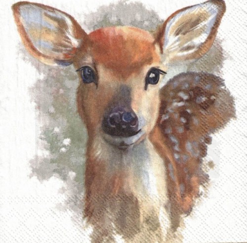 Serwetka 25x25 - Sarenka