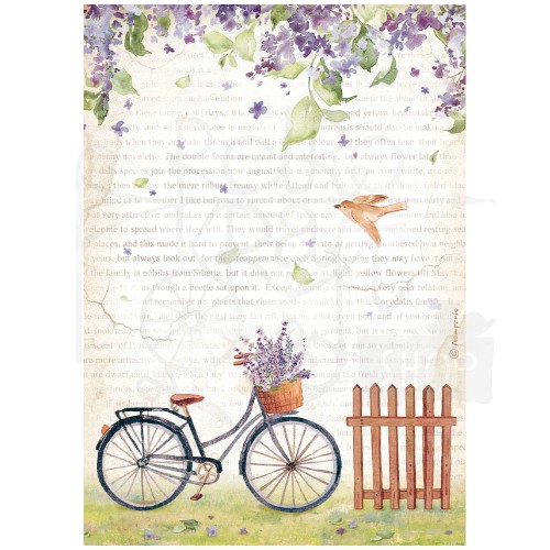 Papier ryżowy A4 Welcome Home Bicycle DFSA4744 Stamperia