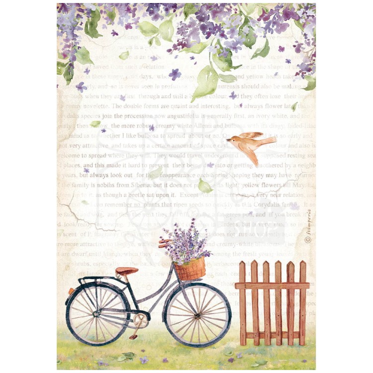 Papier ryżowy A4 Welcome Home Bicycle DFSA4744 Stamperia