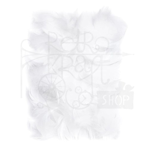 Piórka 5-12cm 10g białe CEPI-012 dpCraft