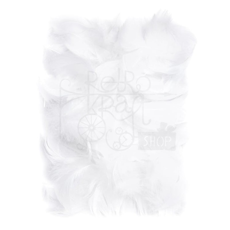 Piórka 5-12cm 10g białe CEPI-012 dpCraft