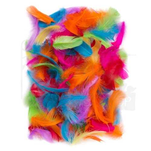 Piórka 5-12cm 10g brights CEPI-026 dpCraft