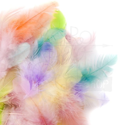 Piórka 5-12cm 5g pastel CEPI-103 dpCraft