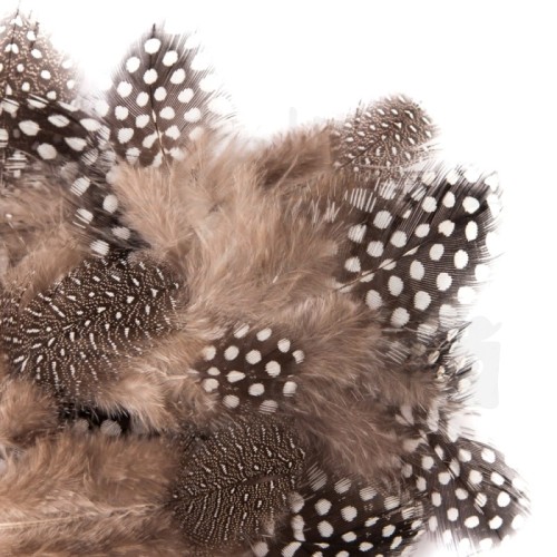 Piórka przepiórcze 5-12 cm 5 g CEPI-104 dpCraft