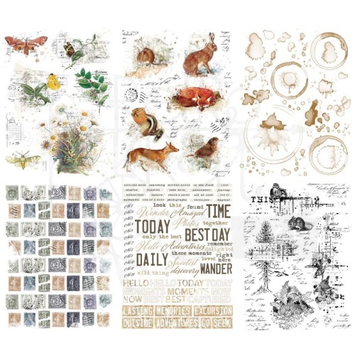 Rub-on transfer 15x20cm Curators Meadow 6 arkuszy CM36691 49 and Market