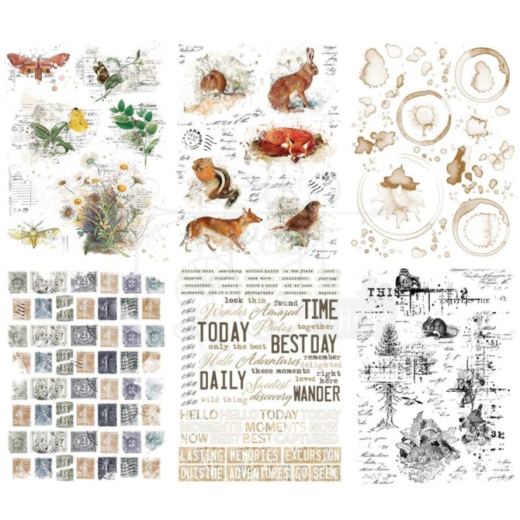 Rub-on transfer 15x20cm Curators Meadow 6 arkuszy CM36691 49 and Market