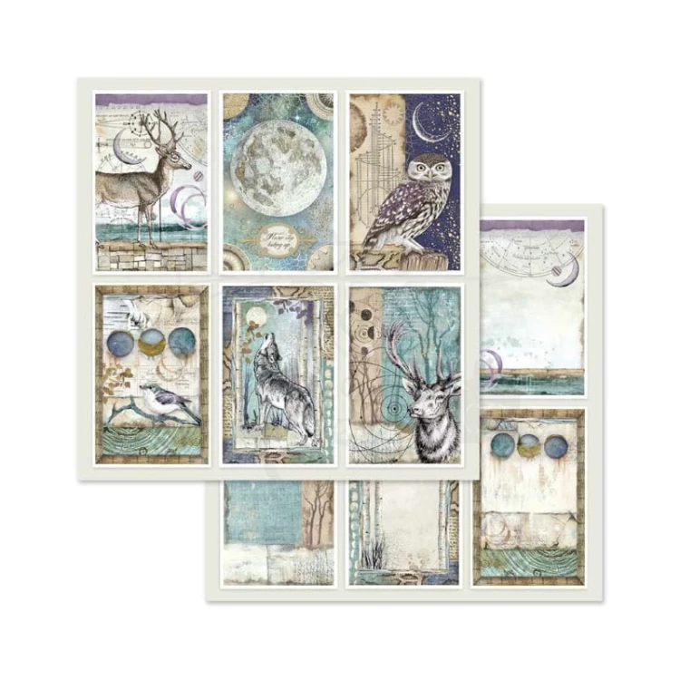 Zestaw papierów 20x20 Cosmos SBBS11 Stamperia