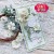 Wykrojnik Polypody set 1 Paprotki 1 CW228 Craft&amp;You Design