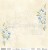 Papier 30x30 Celebrations Blue 2 03/04 CB2-03/04 ScrapAndMe