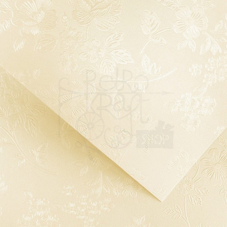 Arkusz papieru Karton ozdobny Floral kremowy A4 220g Galeria Papieru