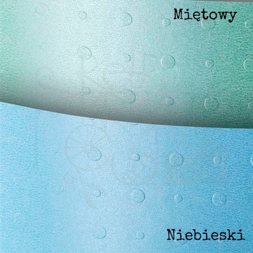 Arkusz papieru Karton ozdobny Dots miętowy A4 230g Galeria Papieru