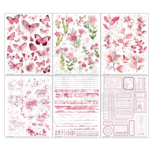 Rub-on transfer 15x20cm Blossom 6 arkuszy CSB40094 49 and Market