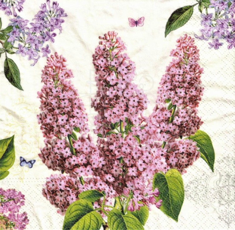 Serwetka 33x33 - Bez - gałązka 2