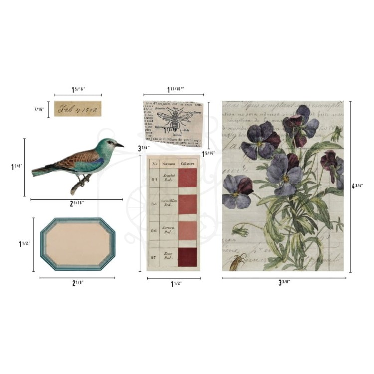 Ozdoby Idea-Ology Transparent Things 2 33szt TH94327 Tim Holtz