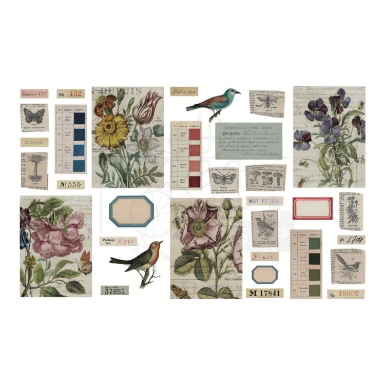 Ozdoby Idea-Ology Transparent Things 2 33szt TH94327 Tim Holtz