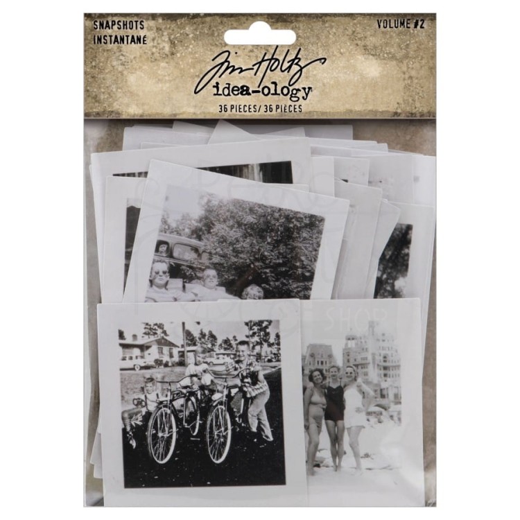 Ozdoby papierowe zdjęcia Idea-Ology Snapshots Volume #2 36szt TH94322 Tim Holtz