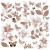 Ozdoby liście Color Swatch Toast Acetate Leaves 74szt CST41152 49 and Market