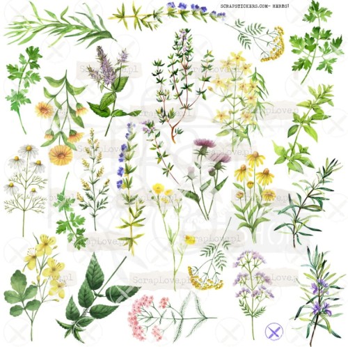 Naklejki do scrapbookingu i art journalingu Herbs ScrapLove