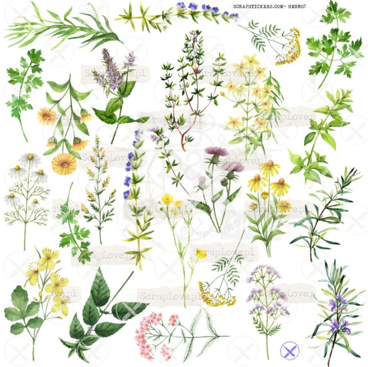 Naklejki do scrapbookingu i art journalingu Herbs ScrapLove