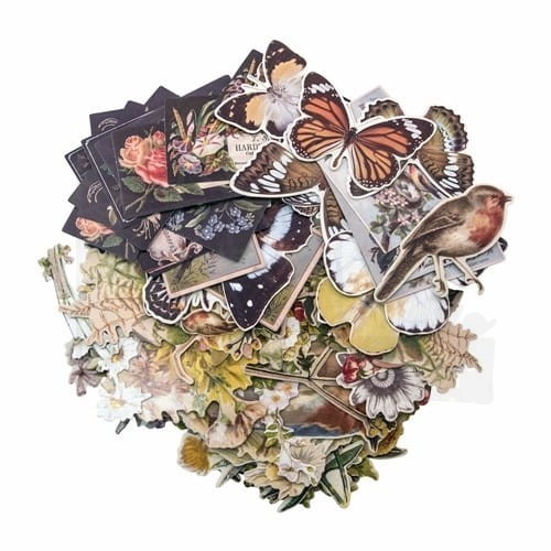 Dodatki Botanical Layers TH93554 Tim Holtz