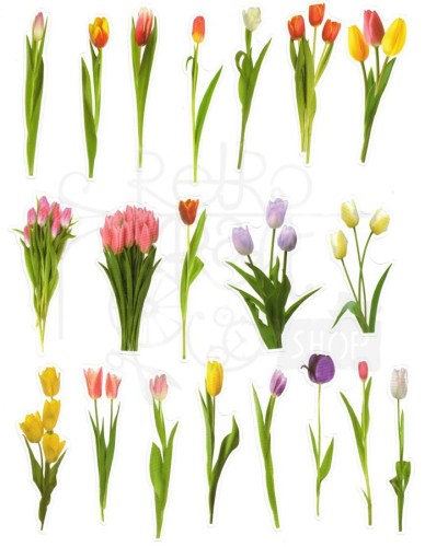 Naklejki do scrapbookingu i art journalingu - kolorowe tulipany - 40 szt