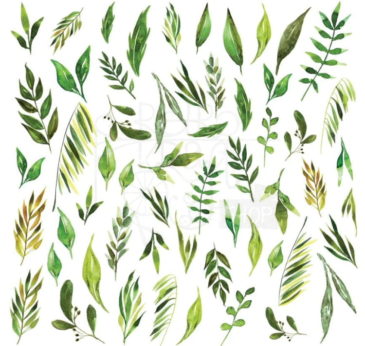Papier 30x30 Bloosom Meadow listki CP-BM08 Craft&amp;You Design