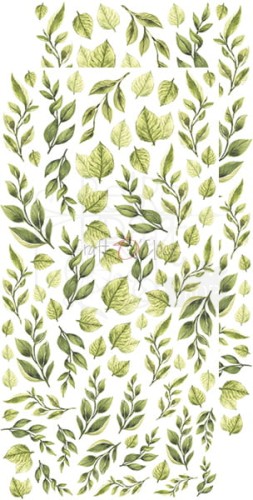 Zestaw dodatków do wycięcia 01 15x30cm liście CC-BC-L-01 Craft O'Clock