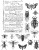 Stempel gumowy kauczukowy Entomology CMS328 Tim Holtz Stampers Anonymous