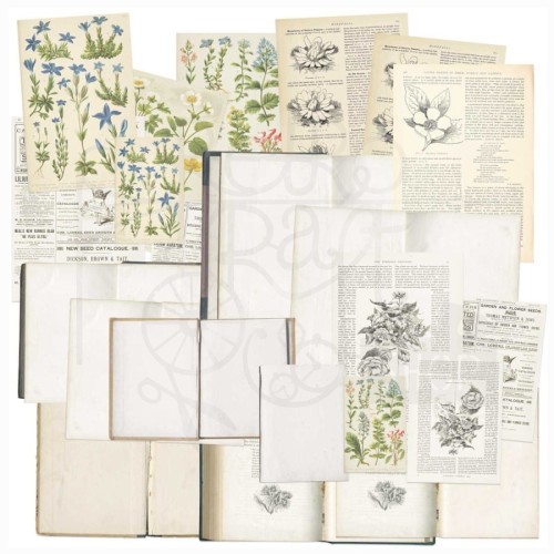 Ozdoby papierowe Curators Essential Bookplates 22 karty C37087 49 and Market