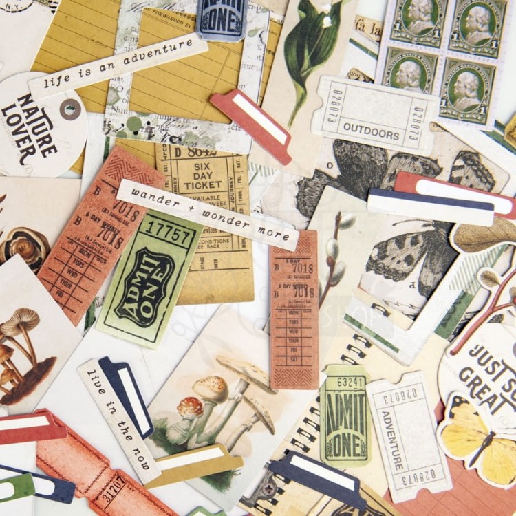 Ozdoby papierowe die-cuts Curators Meadow Ephemera Bits 78szt CM36738 49 and Market