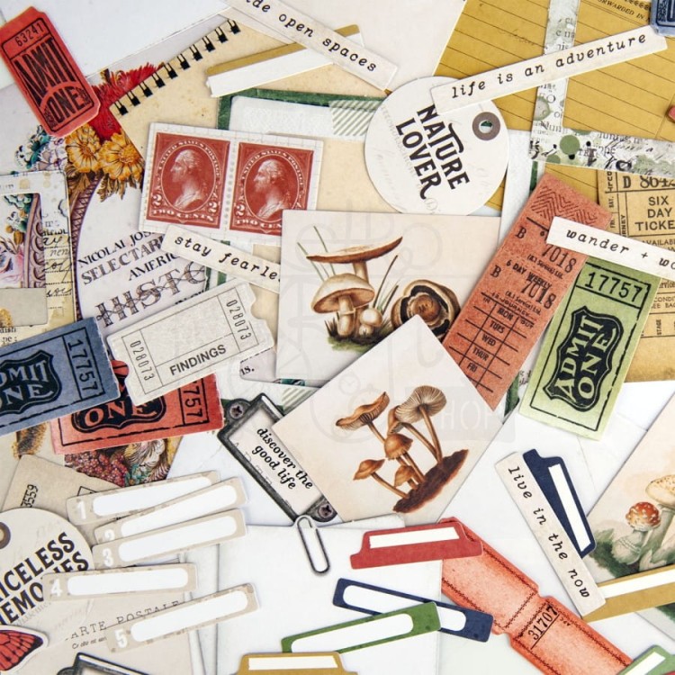 Ozdoby papierowe die-cuts Curators Meadow Ephemera Bits 78szt CM36738 49 and Market