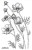 Stempel silikonowy Kwiaty 2 LB2189 LaBlanche