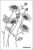 Stempel silikonowy Kwiaty 4 LB2191 LaBlanche