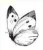 Stempel silikonowy Motyl LB2195.2 LaBlanche